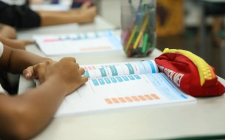 Novo currículo escolar passa a incluir educação política e cidadania