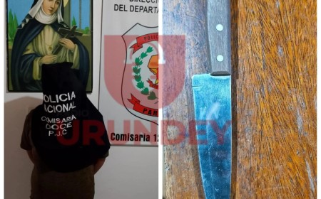 Jovem é presa após tentar esfaquear menina de 8 anos em PJC