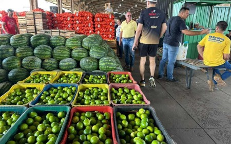 Hortifruti brasileiro supera R$ 68 bilhões em movimentação anual