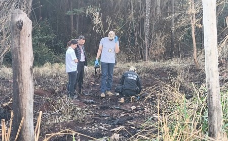 Ossada humana é encontrada em terreno baldio após queimada no Zé Pereira, em Campo Grande