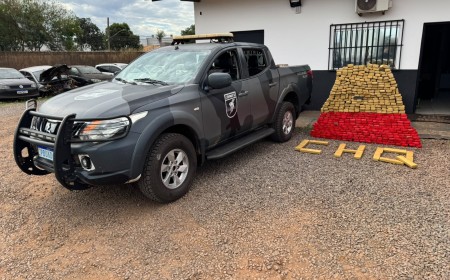 Choque dá prejuízo de R$ 970 mil ao tráfico ao apreender quase meia tonelada de maconha no Vila Popular
