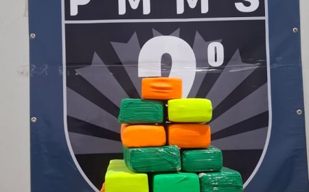 Jovem de 22 anos é preso na rodoviária de Três Lagoas com quase 50 kg de maconha em 4 malas