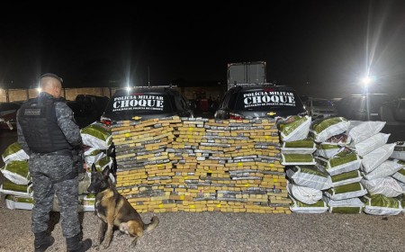 Batalhão de Choque descobre 'bunker' e apreende 1,2 tonelada de maconha em Campo Grande