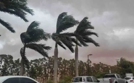 Ventos de até 80 km/h ameaçam causar transtornos em MS