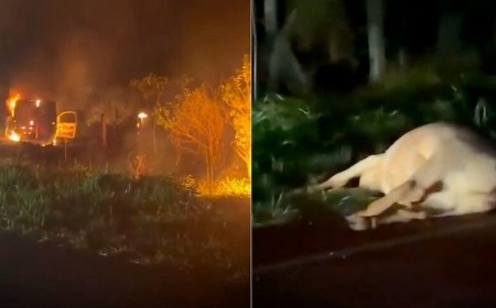 Ambulância pega fogo após colisão com vaca em Dourados