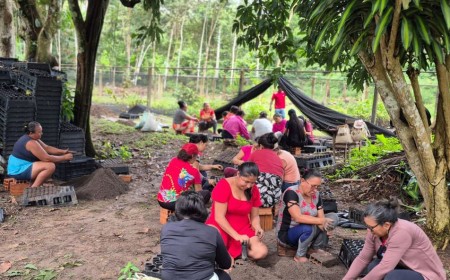 Mulheres amazônicas lutam contra impactos do clima