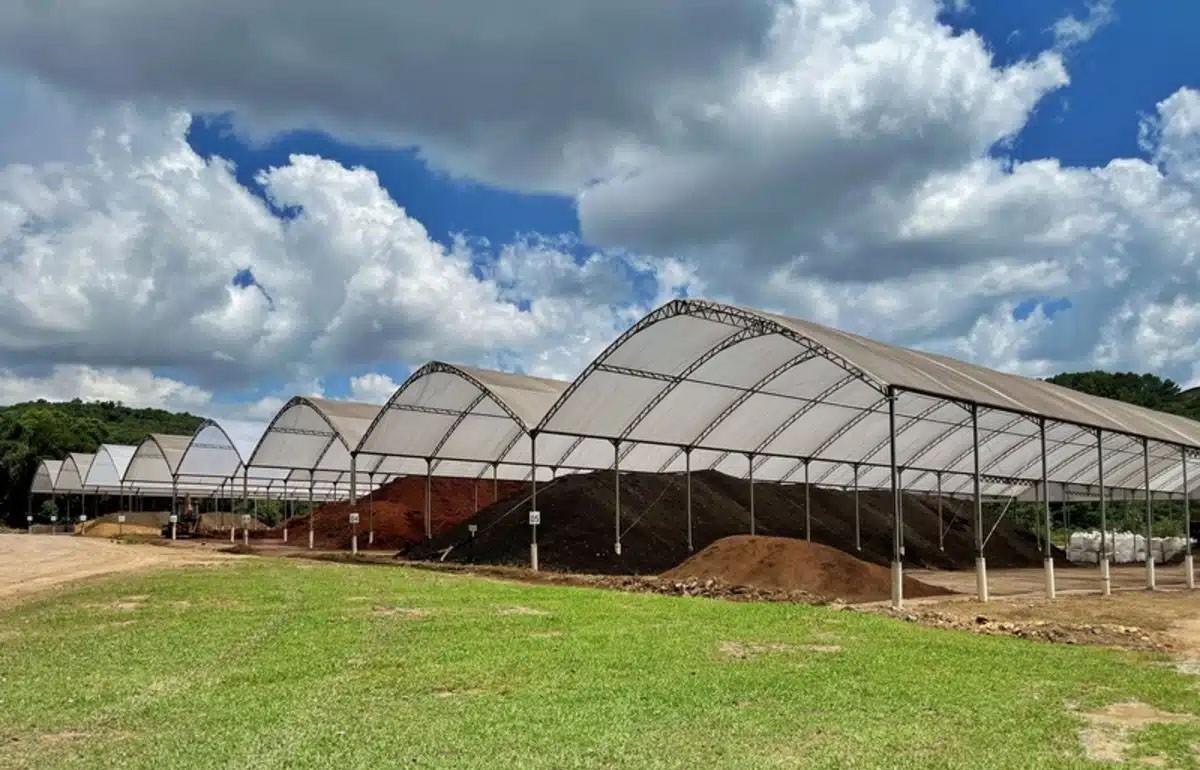 Bagaço de uva ganha novo destino e vira adubo
