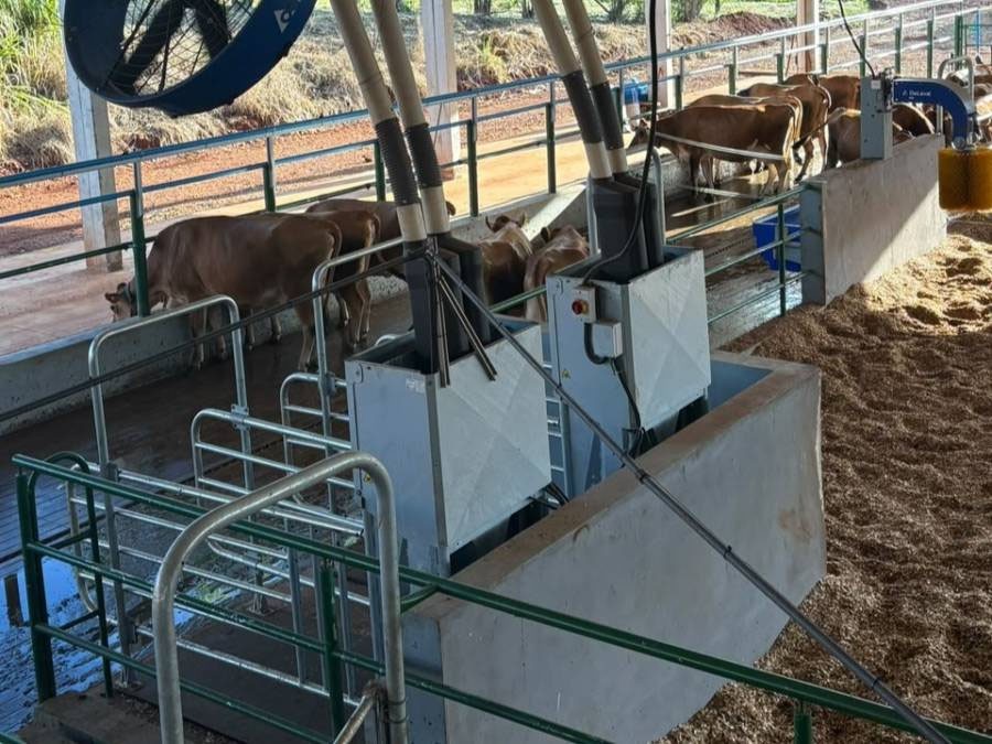Robôs e energia solar impulsionam pecuária leiteira na Unesp