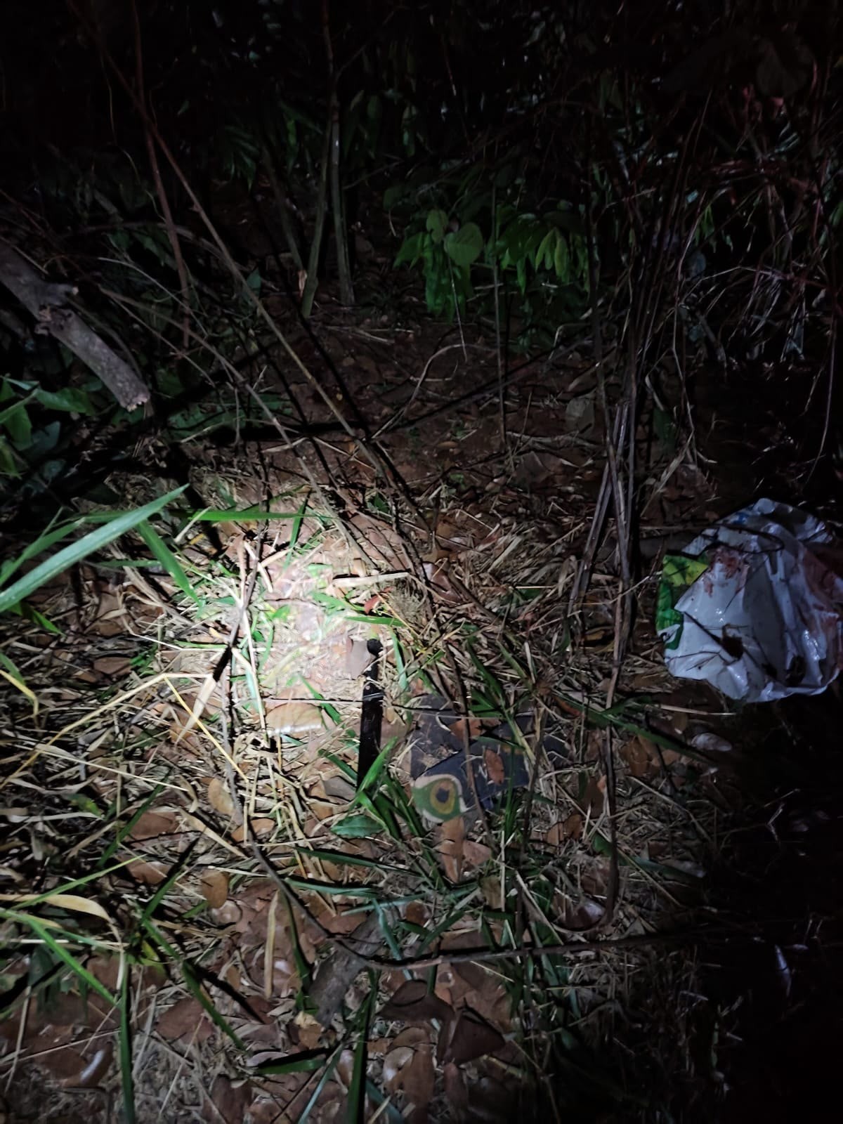 Suspeito de roubar residência morre em confronto com a Força Tática perto do Parque Sóter