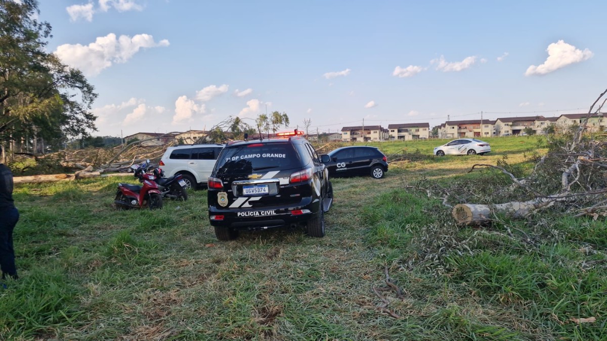 Campeiro morre eletrocutado após galho atingir rede elétrica em Campo Grande