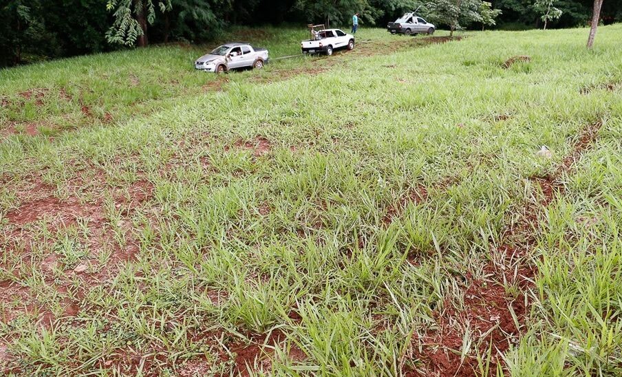 Após abate, criminosos deixam apenas cabeça e vísceras de vaca