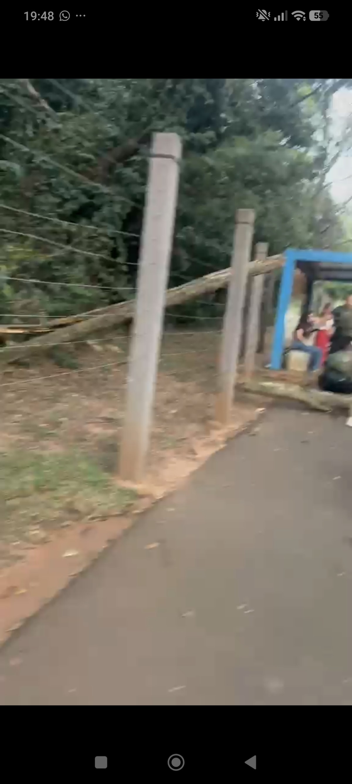 Jovem de 23 anos morre após ser atingida por galho de árvore no Parque dos Poderes, em Campo Grande
