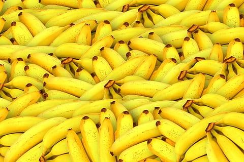 Unesp aumenta produção de biogás usando casca de banana