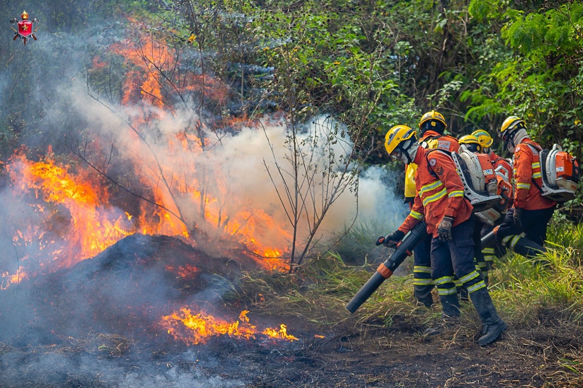 Chamas devastam vegetação e mobilizam força-tarefa no DF