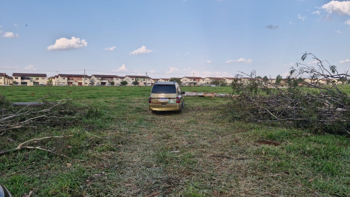 Campeiro morre eletrocutado após galho atingir rede elétrica em Campo Grande