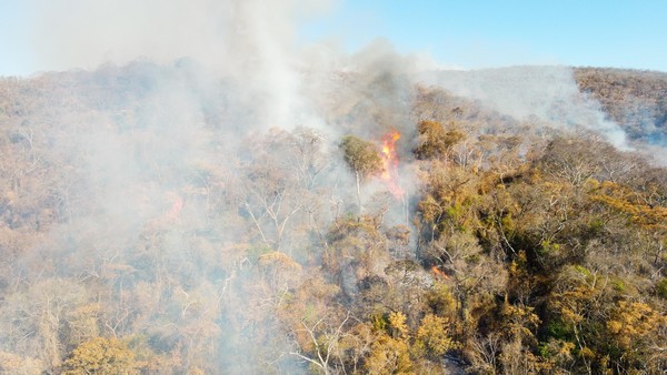 Pantanal já registra 66% da área queimada em todo 2025