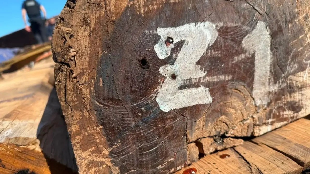 Quarto laudo da PF descarta cocaína em madeira apreendida