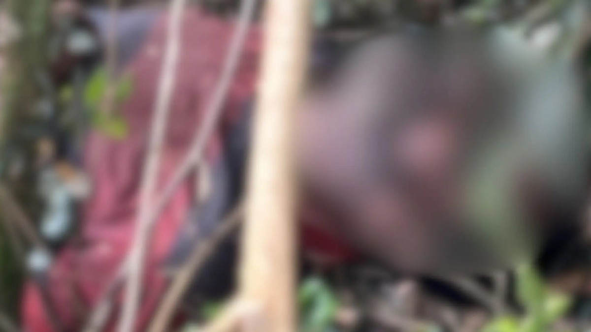 Corpo em decomposição é encontrado por capataz em fazenda de Caarapó