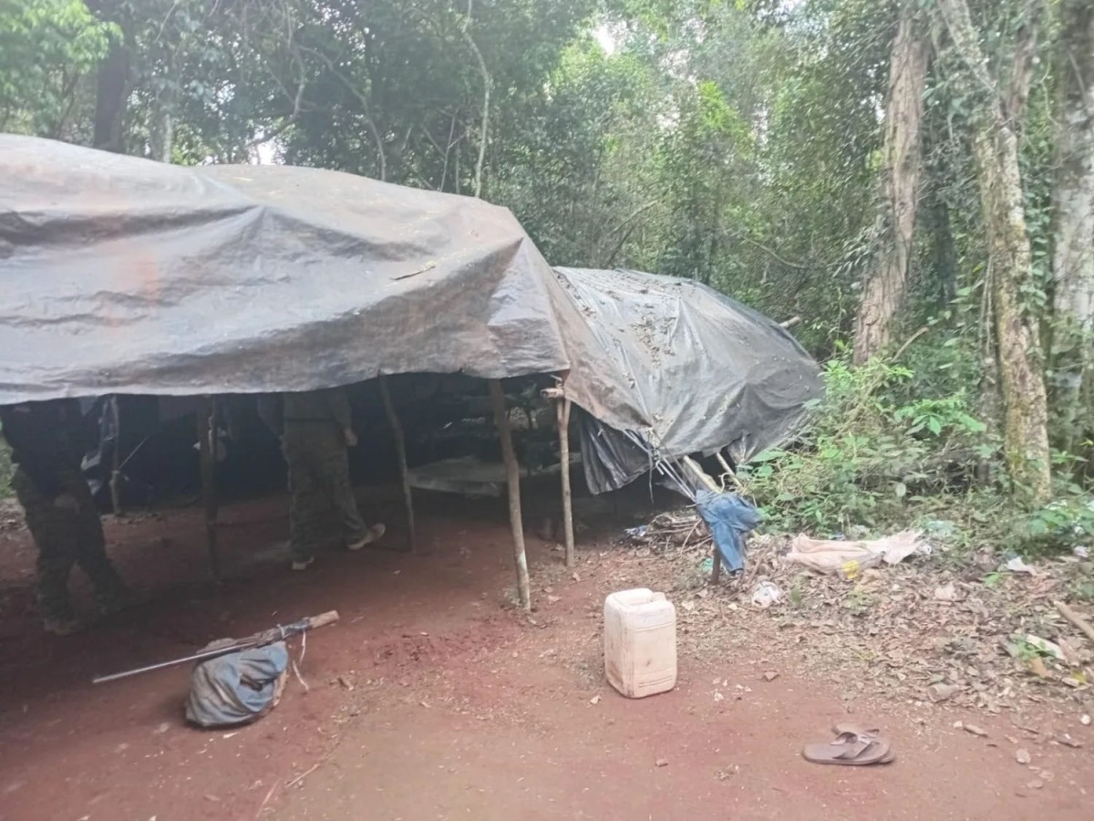 Polícia destrói plantação de maconha em Capitán Bado