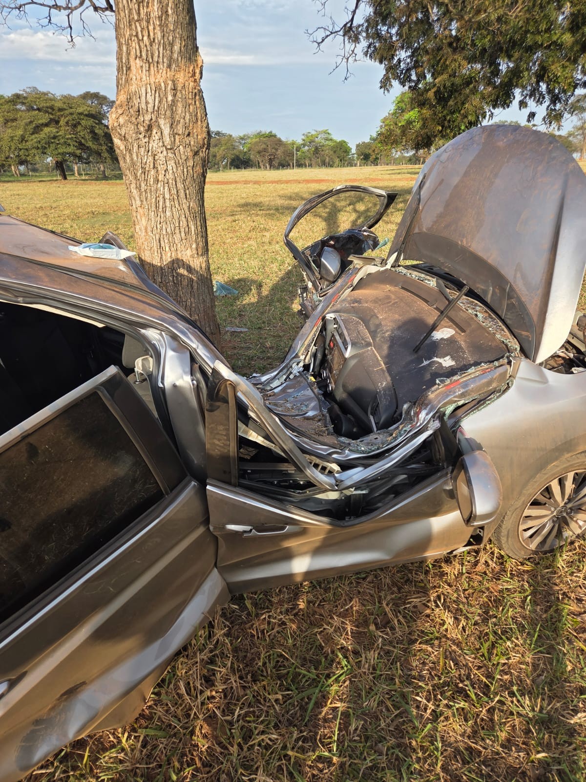 Homem fica gravemente ferido ao bater em árvore durante fuga da PRF com carga de droga em Três Lagoas