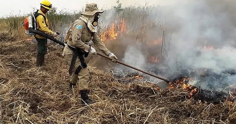 Período de estiagem leva MS a suspender queima controlada