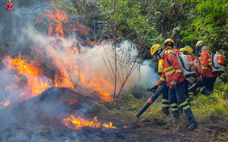 Chamas devastam vegetação e mobilizam força-tarefa no DF