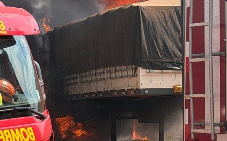 Incêndio em vegetação atinge terreno e destrói carreta no Jardim Botânico
