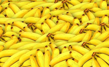 Unesp aumenta produção de biogás usando casca de banana