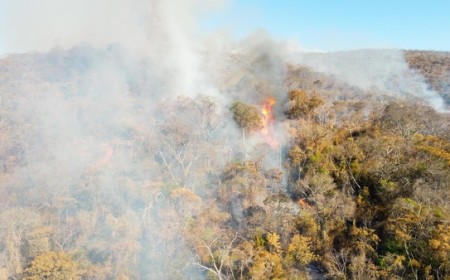 Pantanal já registra 66% da área queimada em todo 2025
