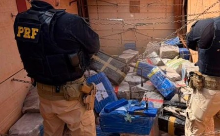 PRF apreende mais de 3 toneladas de maconha escondidas em caminhão na BR-376