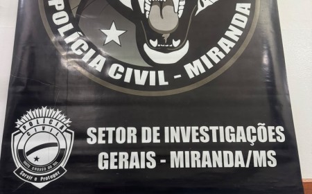 Polícia Civil prende investigado por comércio ilegal de munições em Miranda
