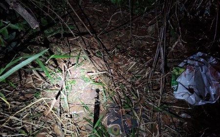Suspeito de roubar residência morre em confronto com a Força Tática perto do Parque Sóter
