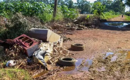 MS registra mais duas mortes por chikungunya e chega a 30 óbitos