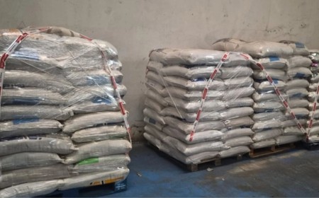 Fiscalização interdita fábrica de arroz após apreensão de produtos contaminados