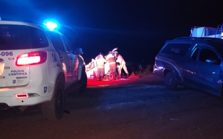 Colisão com anta provoca acidente fatal com dois mortos e incêndio de carreta na BR-267