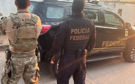 Operação Estação Final: Polícia Federal combate desmatamento ilegal e fraude documental em Corumbá