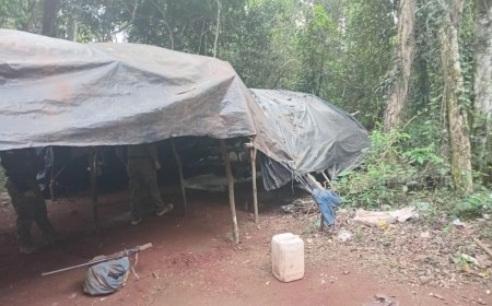 Polícia destrói plantação de maconha em Capitán Bado
