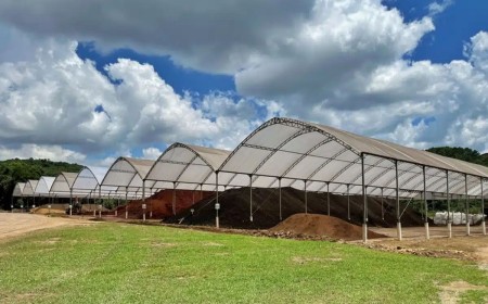 Bagaço de uva ganha novo destino e vira adubo