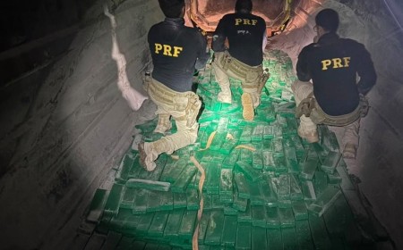 PRF apreende mais de 3,5 toneladas de drogas e medicamentos ilegais na BR-262 em Campo Grande