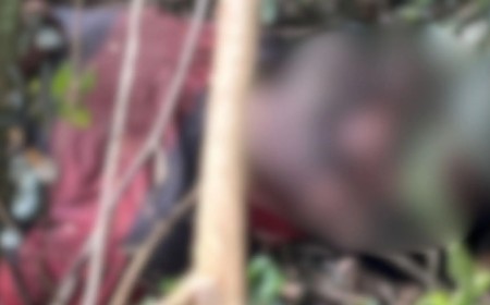 Corpo em decomposição é encontrado por capataz em fazenda de Caarapó