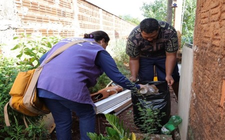 Dourados lidera casos e mortes por chikungunya em MS