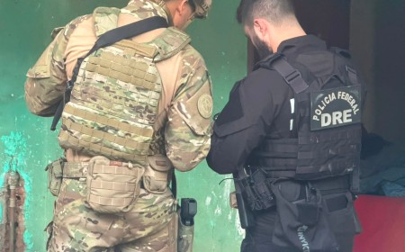 Polícia Federal deflagra Operação Arsenal Oculto contra o comércio ilegal de armas em MS