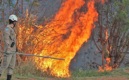 Seca aumenta risco de incêndios em propriedades rurais