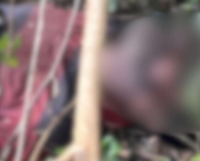 Corpo em decomposição é encontrado por capataz em fazenda de Caarapó