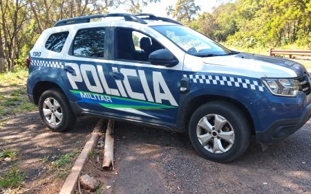 Mulher visivelmente embriagada é presa após desordem, insultos e resistência à polícia no