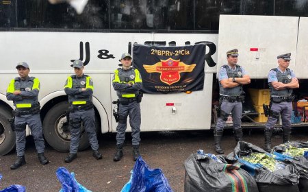 Polícia Rodoviária faz apreensão recorde de quase 750 kg de folha de coca n…