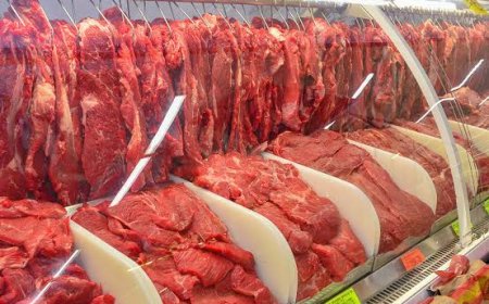 Preço da carne bovina deve subir e apertar o bolso