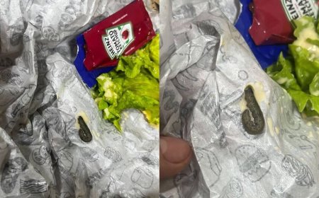 Consumidora encontra lagarta em lanche comprado no bairro Nova Lima, em Cam…