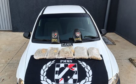 Força Tática e Cão Farejador apreendem 2,6 kg de maconha e prendem trio em Três Lagoas
