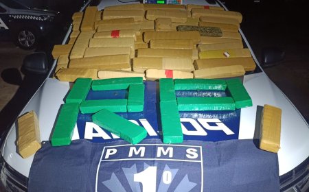 Polícia Militar apreende quase 80 kg de maconha e prende "olheira" do tráfi…